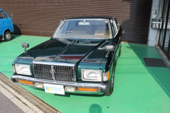 1_w342.jpg